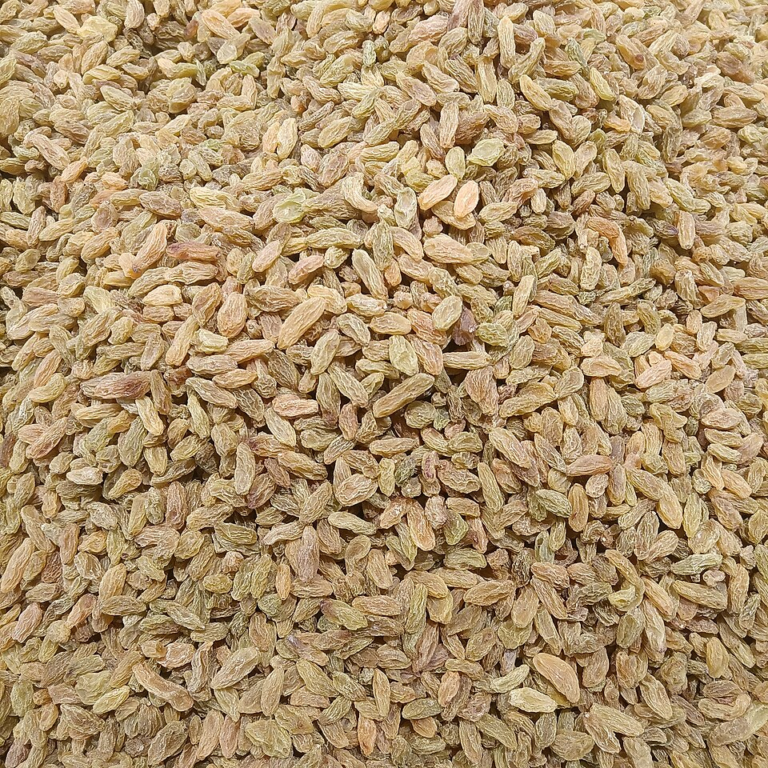 کشمش سبز ملایر