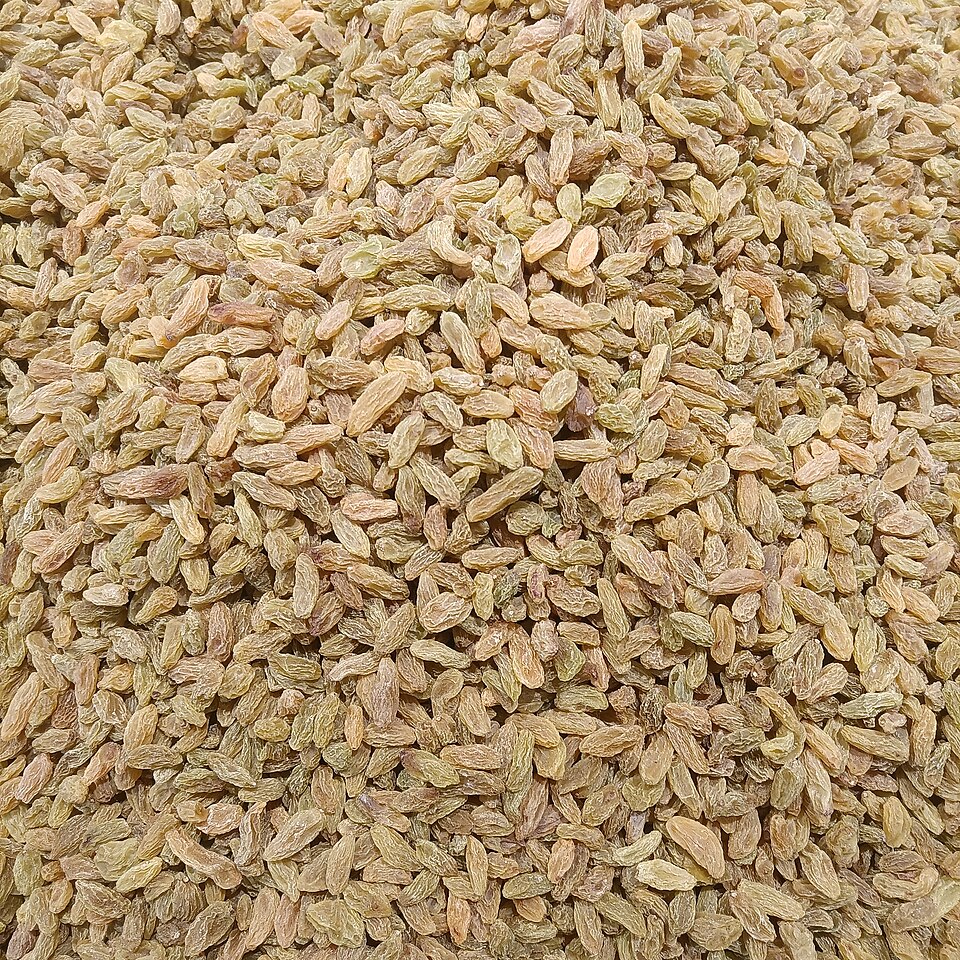 کشمش سبز ملایر